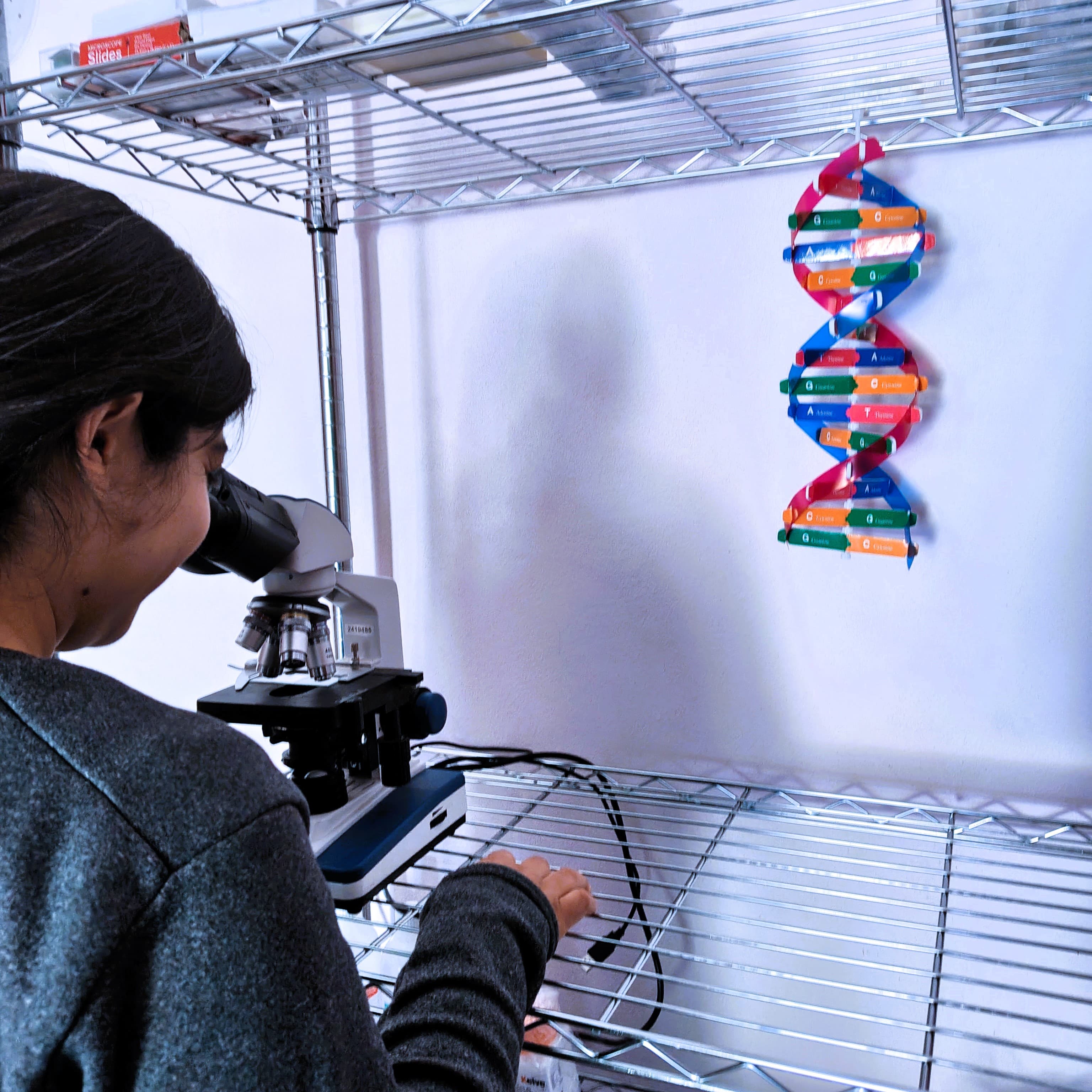 Microscopio para Análisis de Materiales